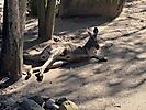 IMG_0960