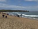IMG_1956