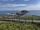IMG_2095