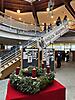 IMG_5650