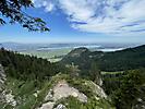 IMG_7115~photo