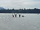 IMG_7155~photo