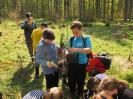 Waldtage 6d